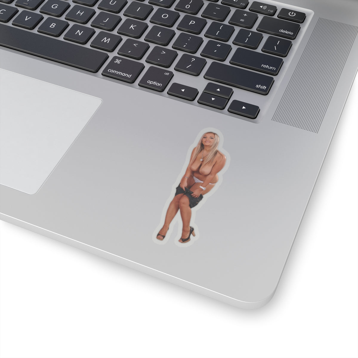 Adult Mature Stickers