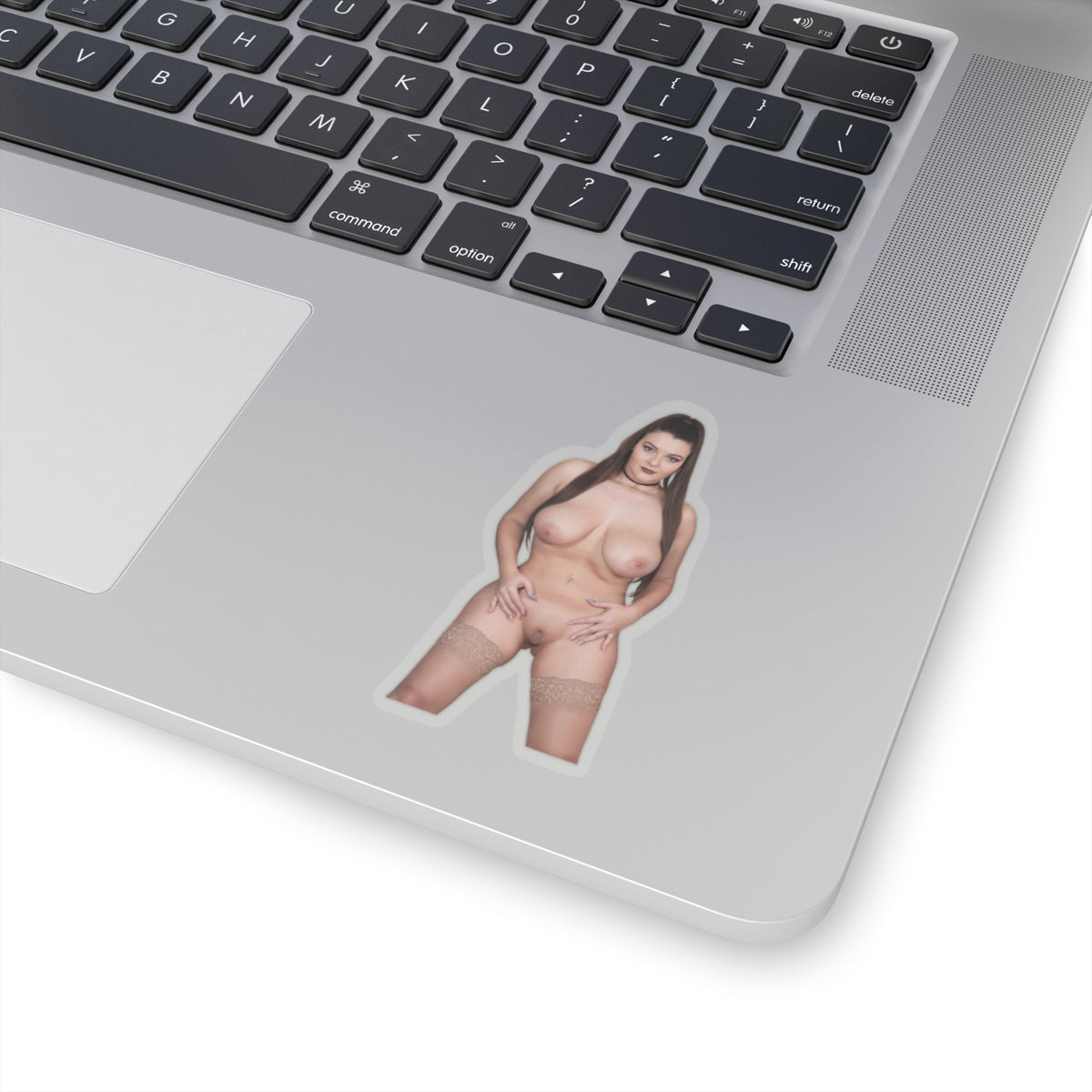 Hot Naked Woman Adult Sticker – Big Bust Beauty