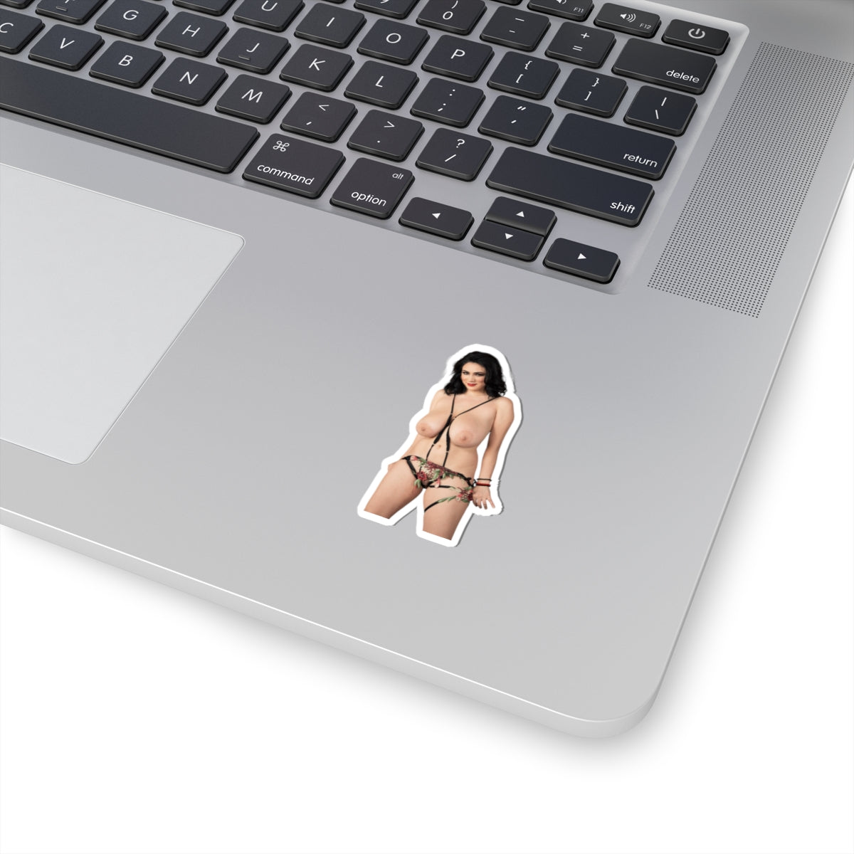 Adult Stickers Big Tits Sexy Girl Sticker