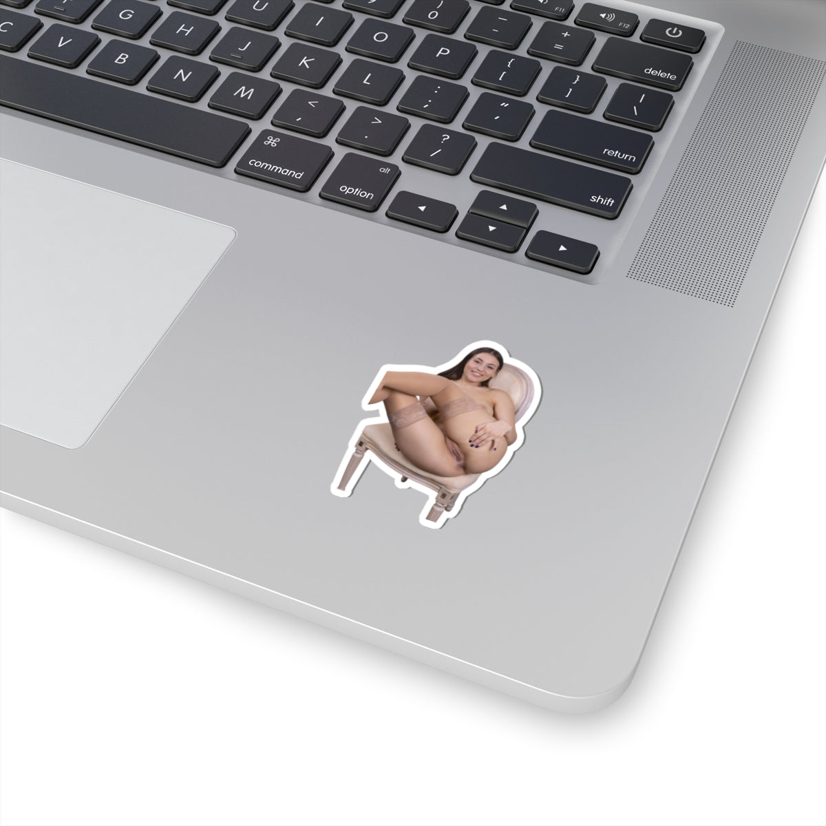 Hot Sexy Girls Sticker Nude Model Stickers