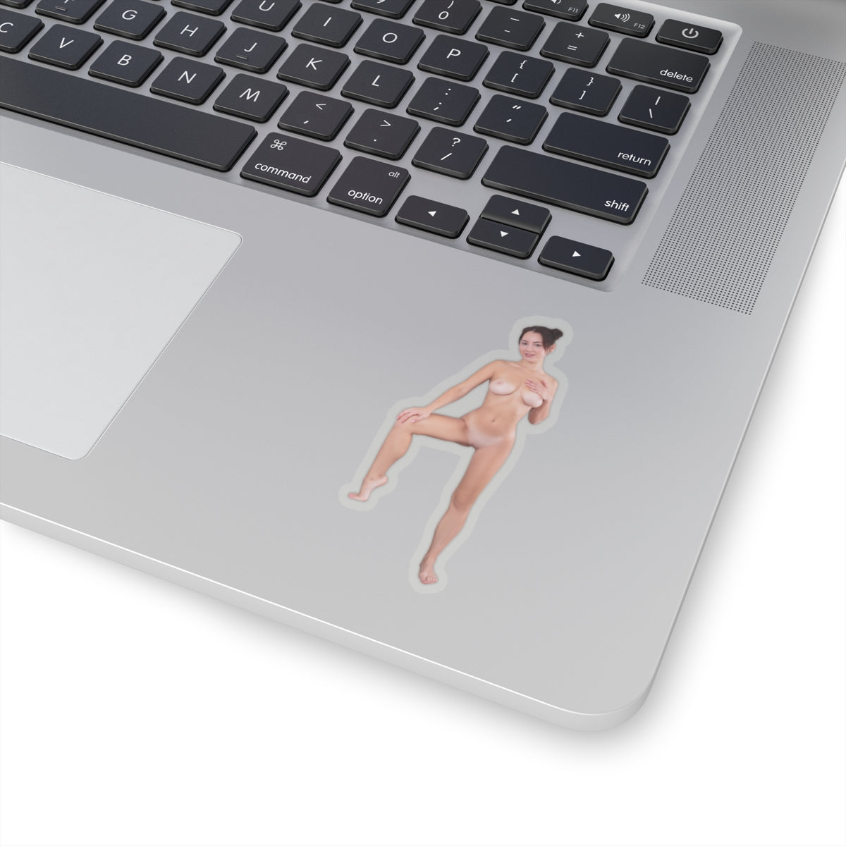 Pinup Stickers Sexy Naked Pretty Girl Sticker