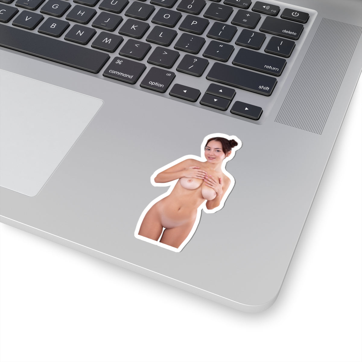 Pinup Stickers Sexy Nude Boobs Women Sticker