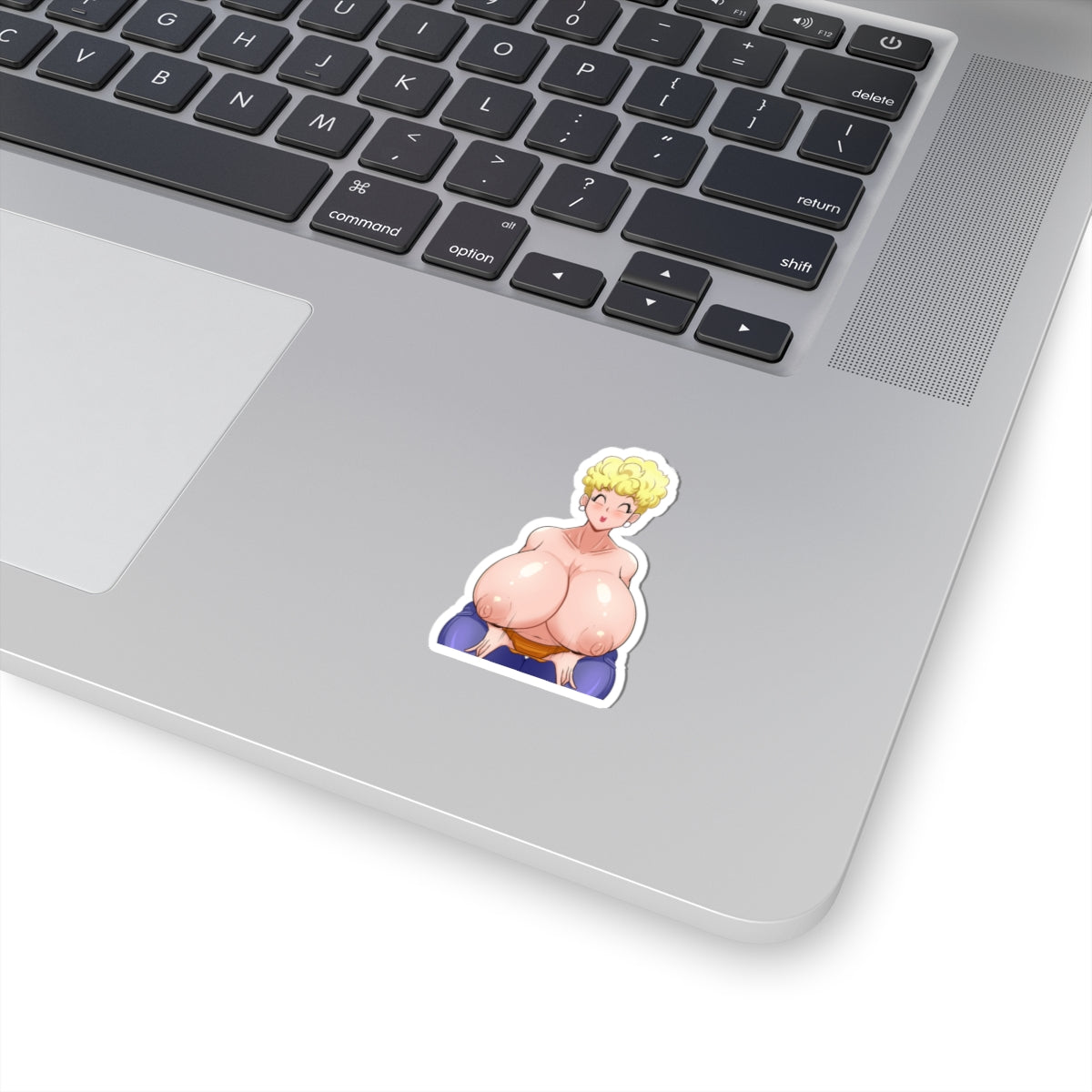 Lewd Stickers,Anime Stickers,Anime Gift,Sexy Women,Hot Anime Girl,Vinyl Stickers,Uncensored Anime Sticker,Funny Stickers,E294