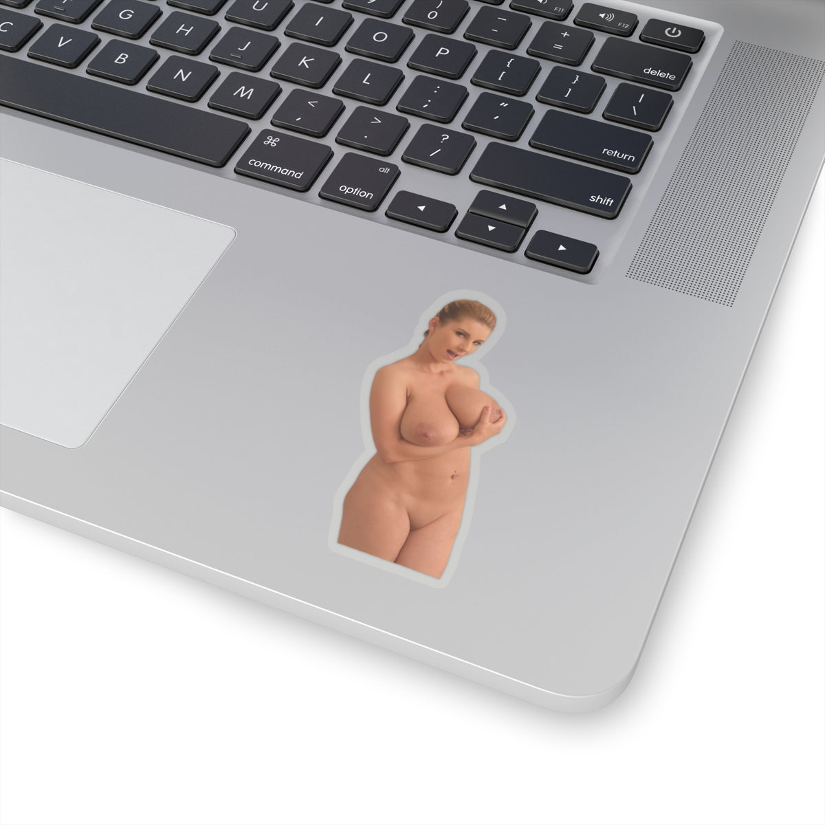 Sexy Girl Naked Sticker Nude Women Big Tits Boobs Stickers
