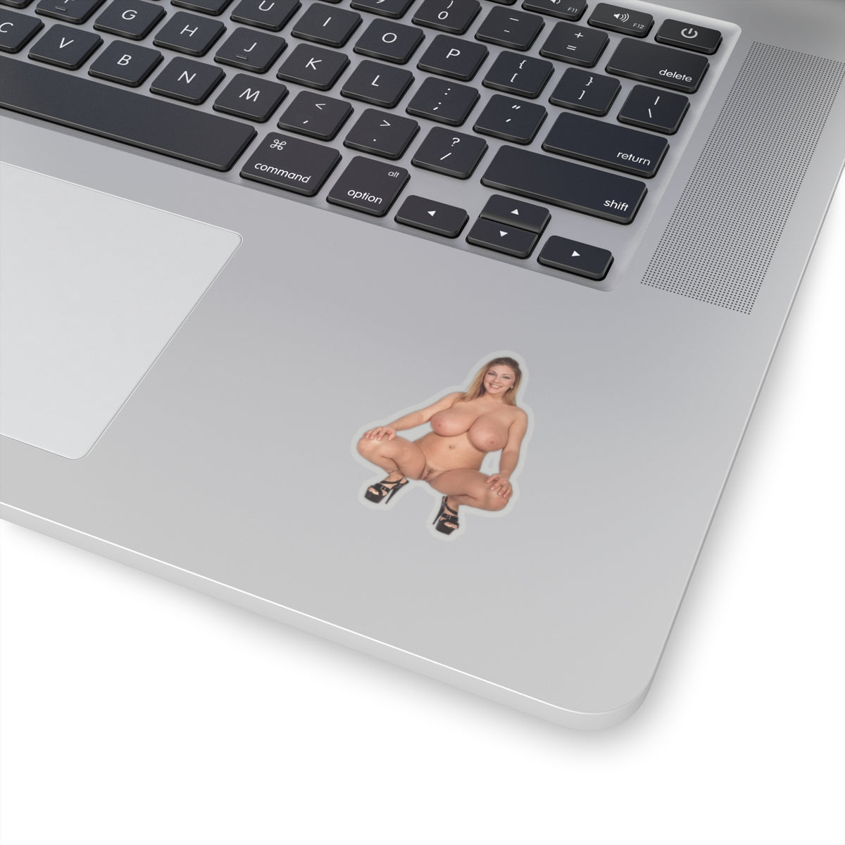 Erotic Sticker Big Boobs Pinup Girl Sticker