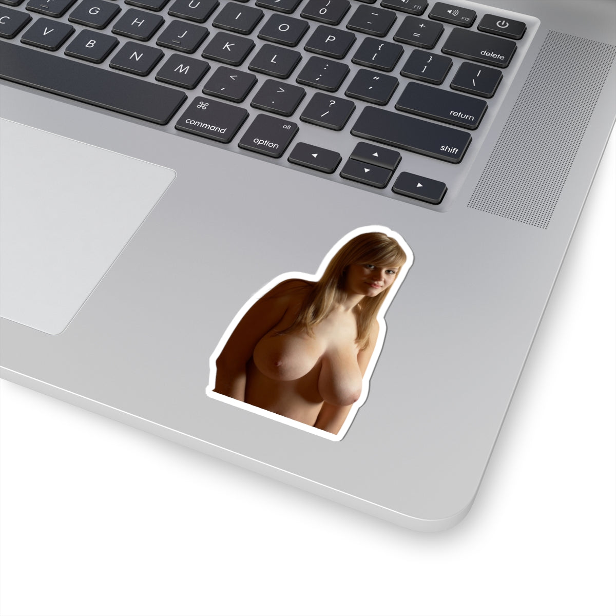 Sexy Big Boobs Girl Sticker Adult Stickers For Men