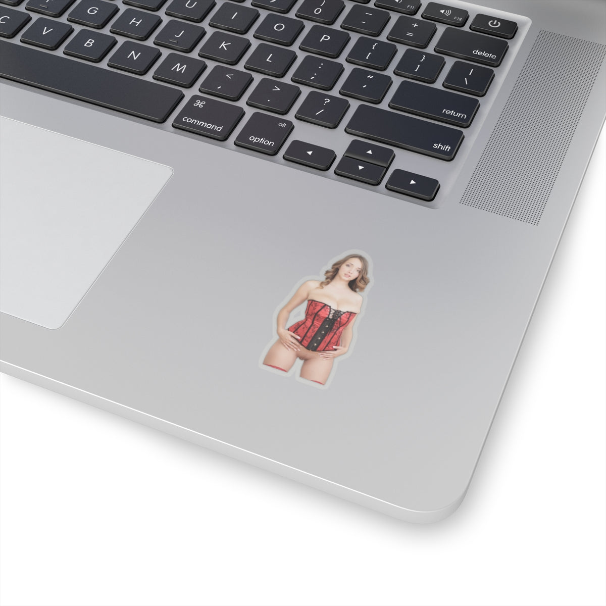 Naked Women Sticker Sexy Adult Stickers