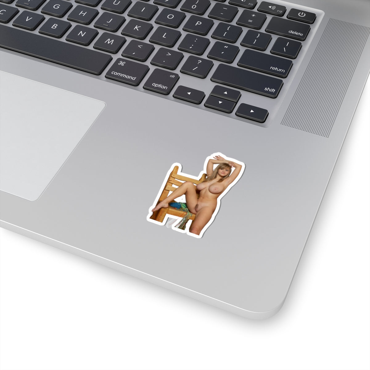 Sexy Big Boobs Nude Girl Sticker Adult Stickers For Men