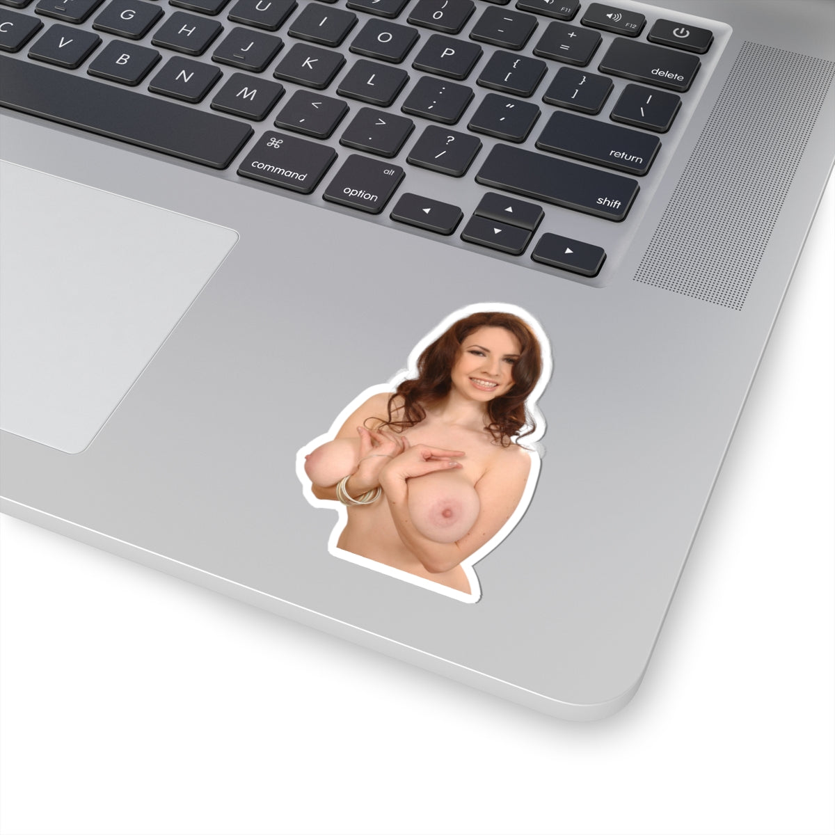 naked big tits girl sticker