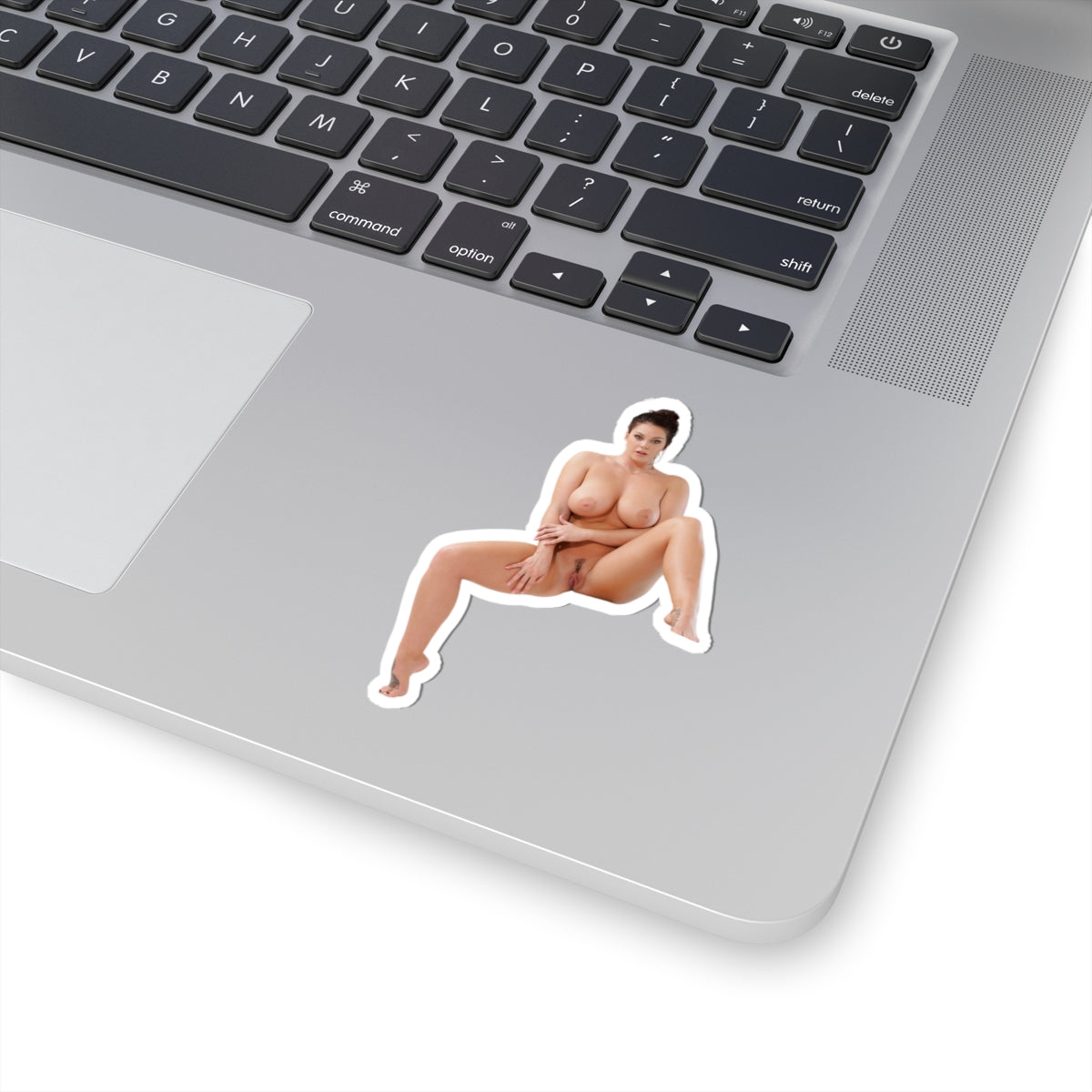 Erotic Sticker Big Tits Pinup Model Stickers