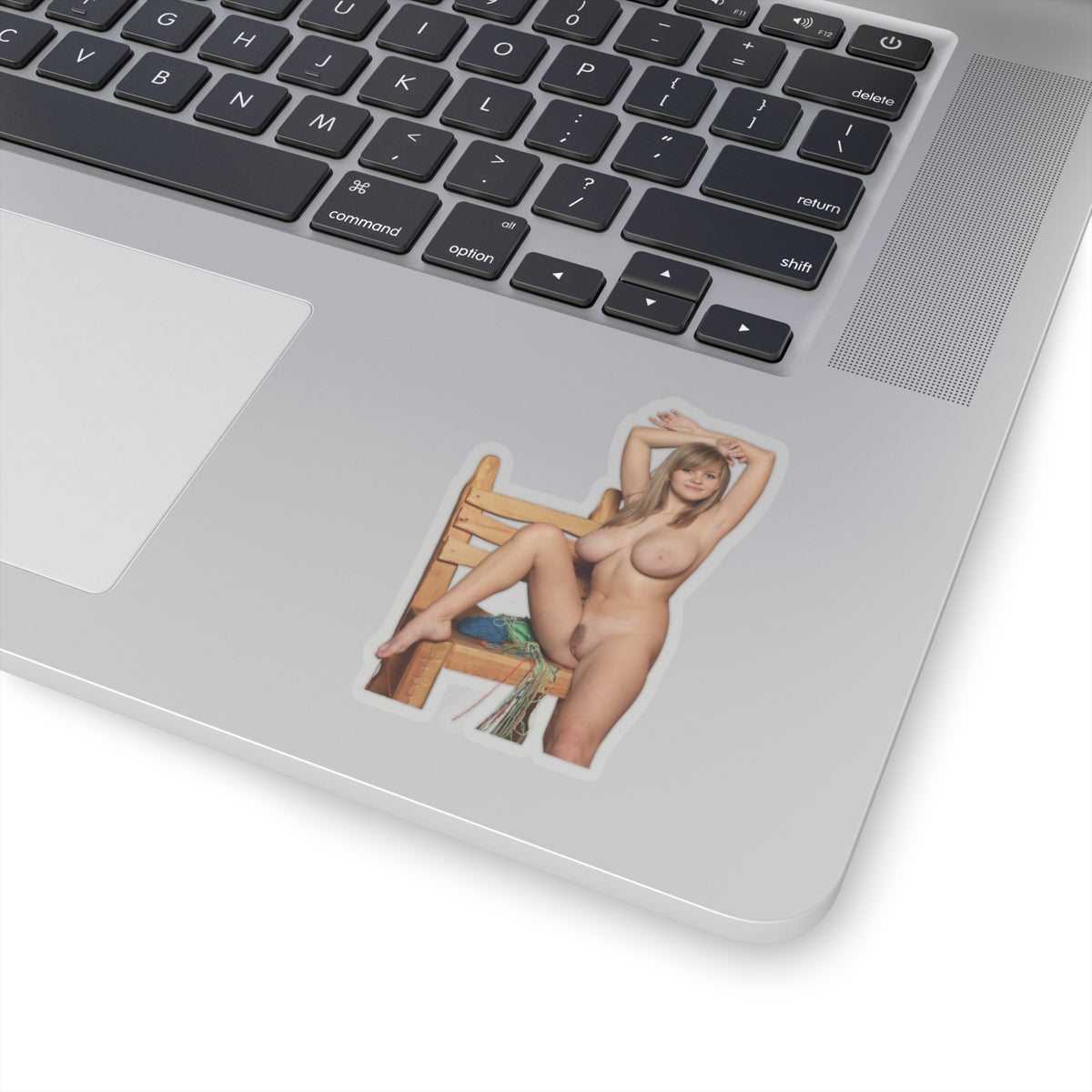 Sexy Big Boobs Nude Girl Sticker Adult Stickers For Men