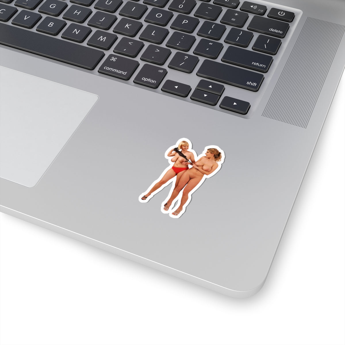 big tits girls sticker two big boobs girls stickers sexy women decals