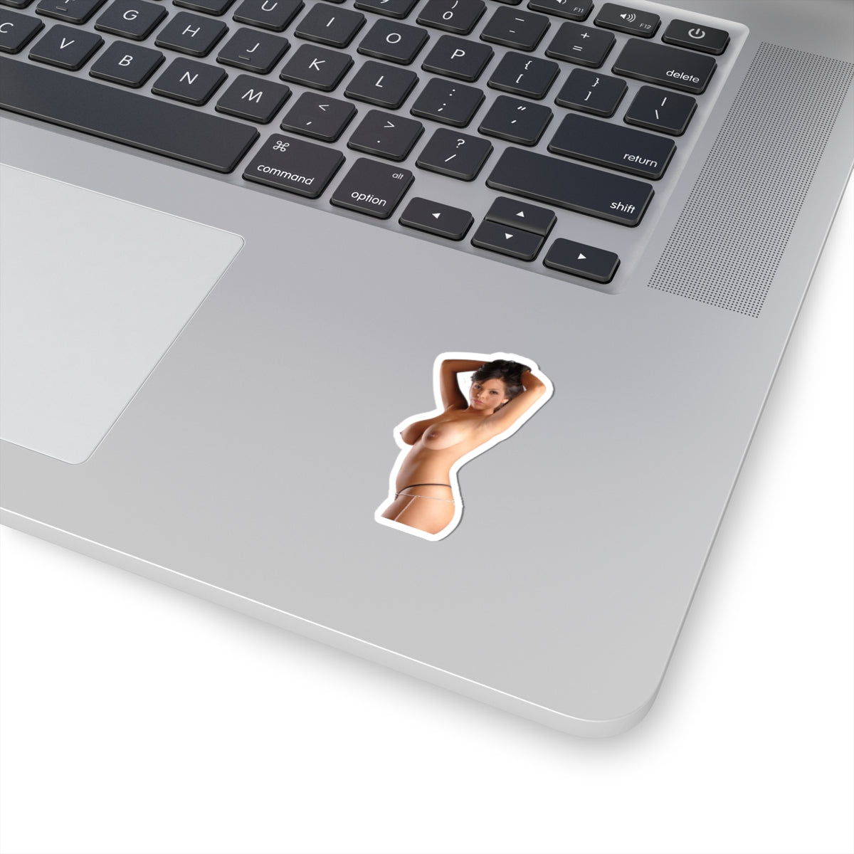 Erotic Sticker Sexy Big Tits Girl Decals