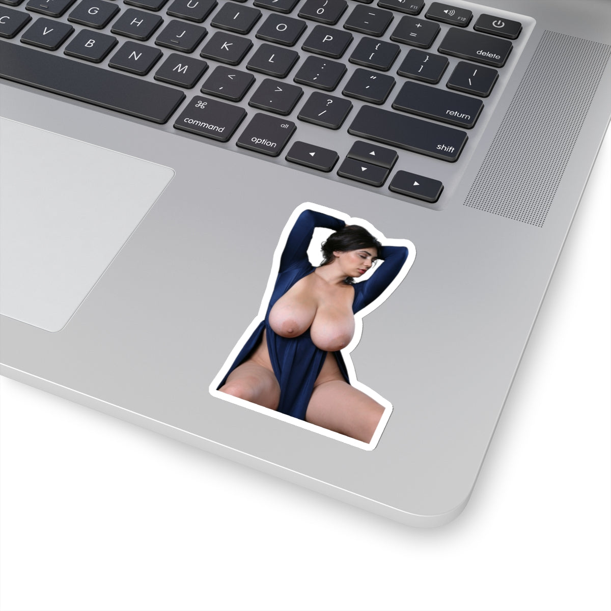 Pinup,pinup sticker,pinup stickers,pinup girl,pinup women,pinup model,sex girl,sexy girl sticker,sexy girls stickers,sexy girls,mens stickers,stickers for men,E825