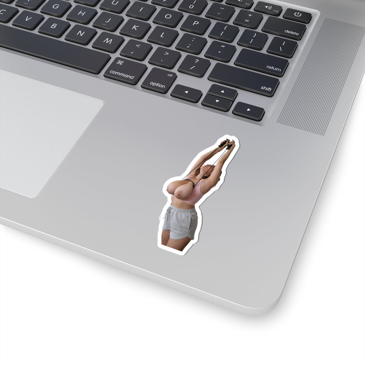 sexy fitness girl stickers