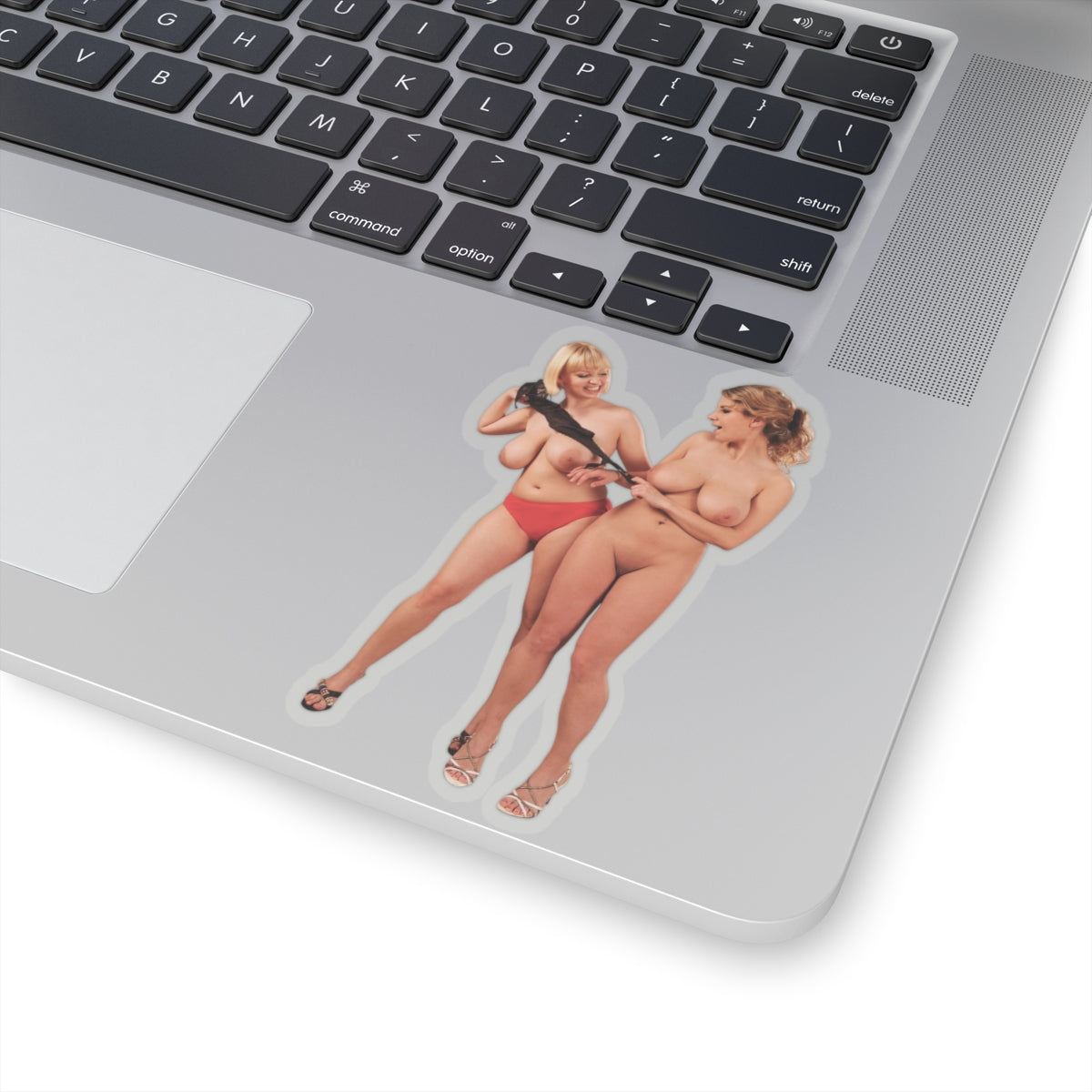 big tits girls sticker two big boobs girls stickers sexy women decals