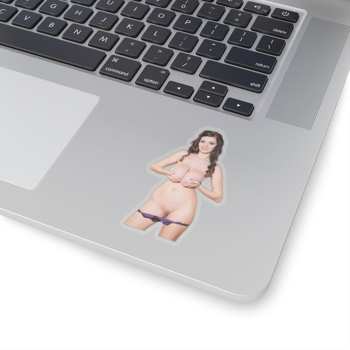 Big Boobs Girl Sticker Adult Stickers