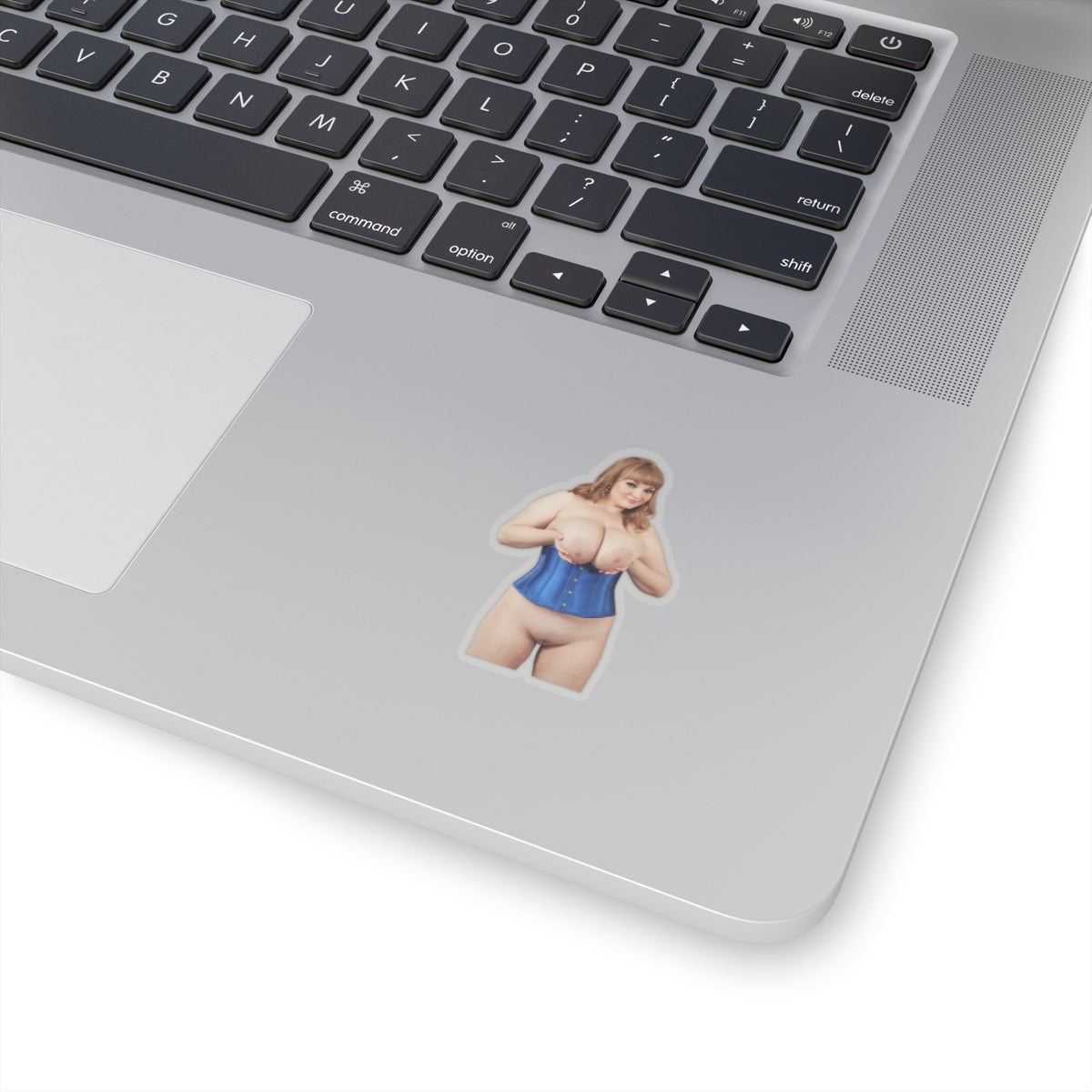 Big Boobs Thicc Curvy Naked Girl Adult Stickers