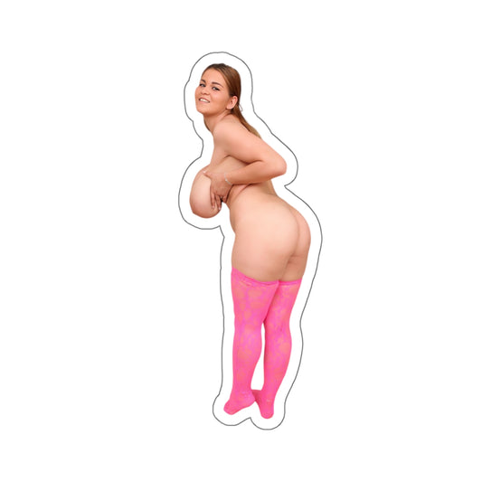 Curvy Model Stickers Nude Women Naked Girl Adult Mature Uncensored Laptop Water Bottle Stickers E494