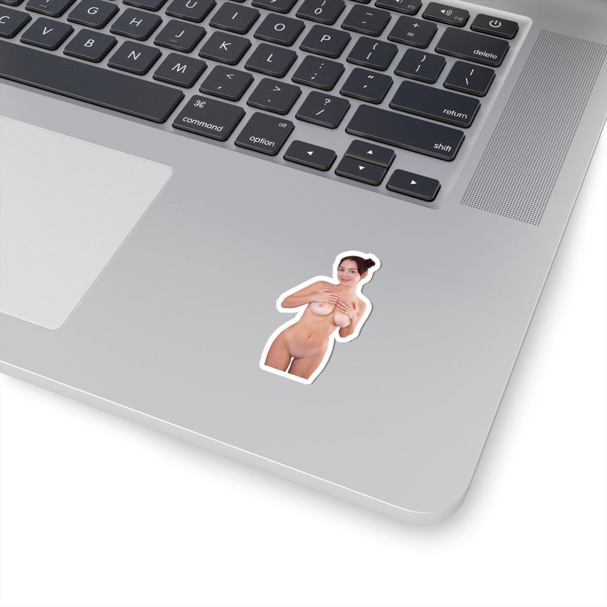 Pinup Stickers Sexy Nude Boobs Women Sticker