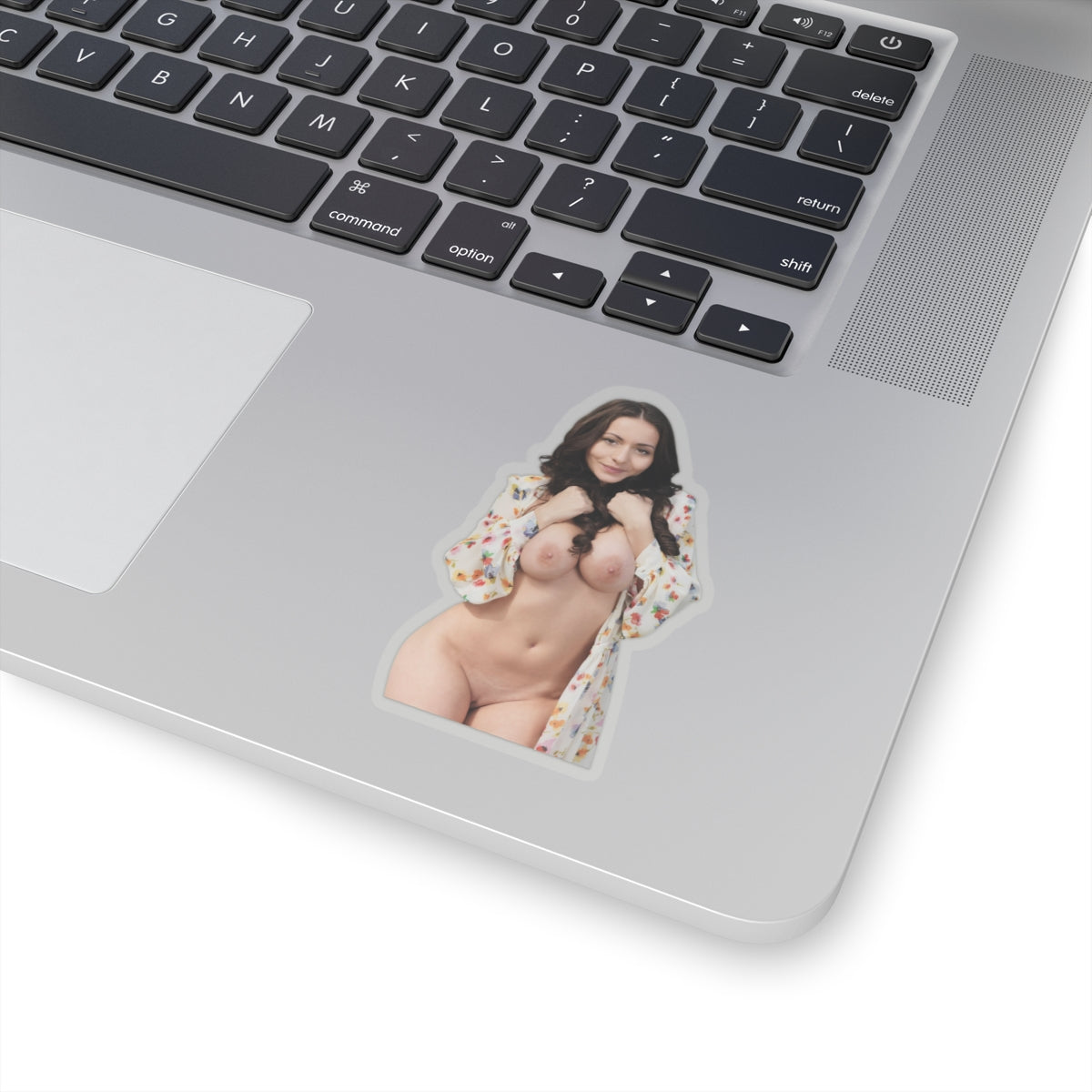 Pinup Sticker Hot Sexy Model Stickers