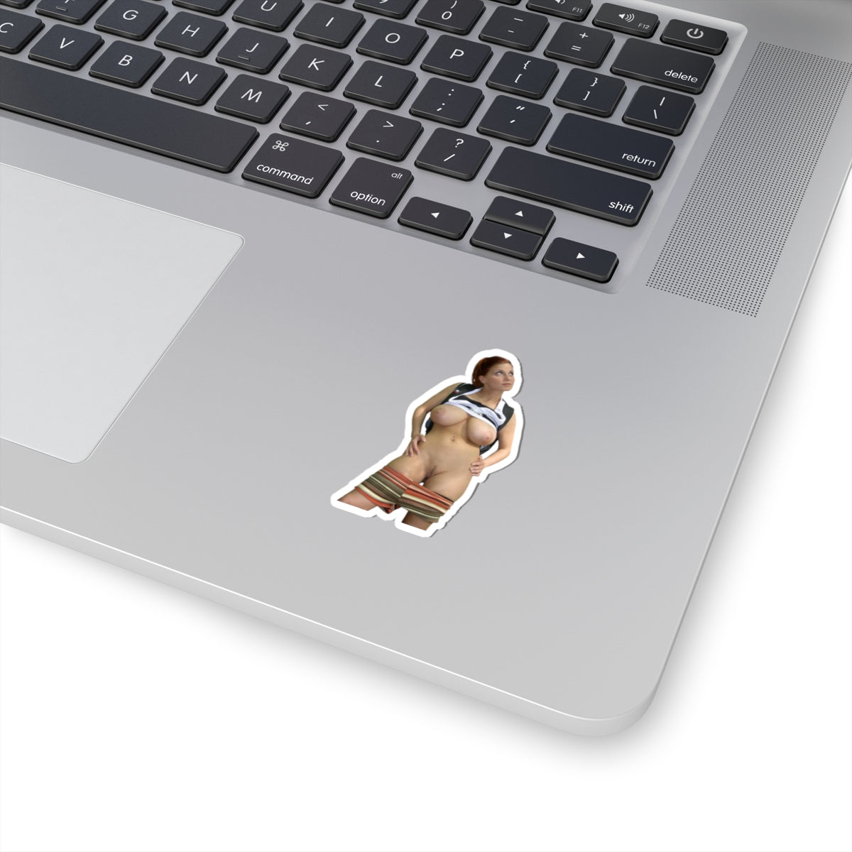 Naked Girl Stciker Pinup Stickers Uncensored Decals