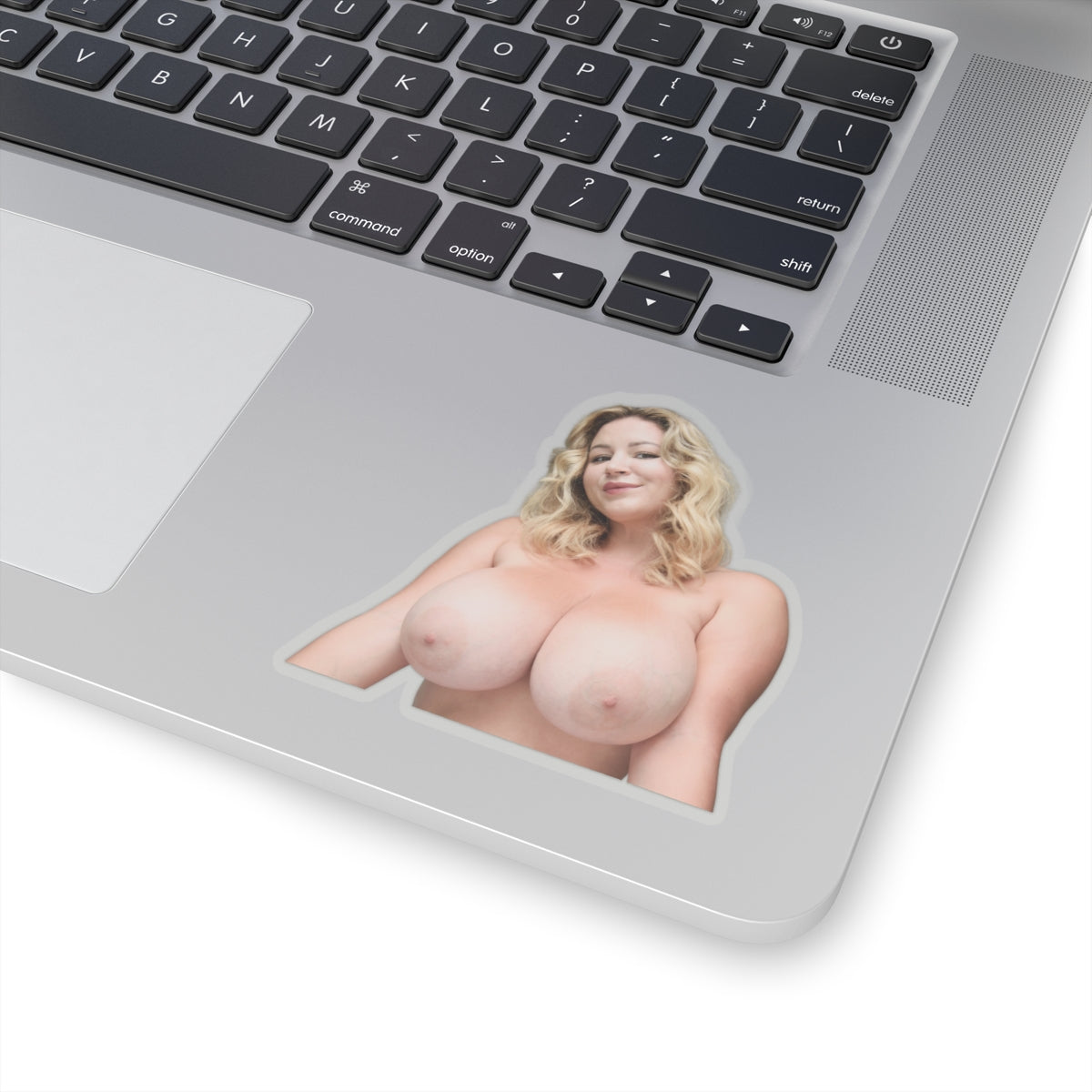 Hot Girl Sticker Big Boobs Women Stickers