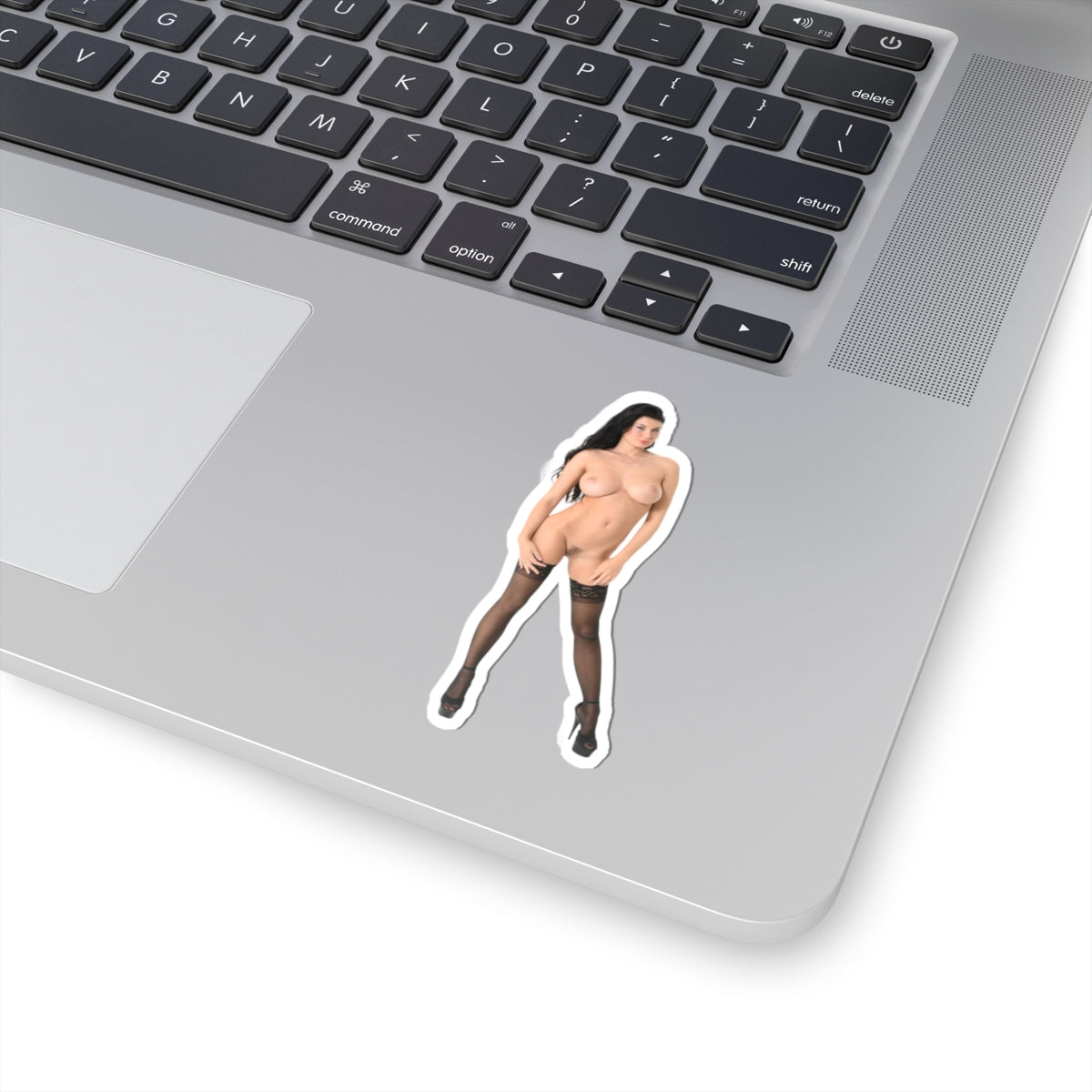 sexy brunette sticker naked pinup model stickers