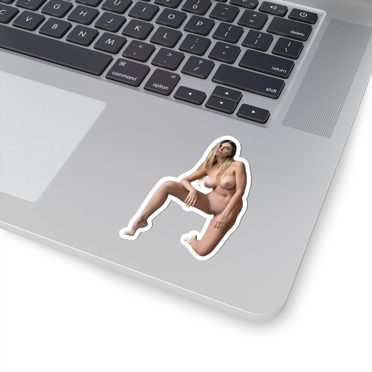 Hot Sexy Girls Sticker Only Stickers For Adults
