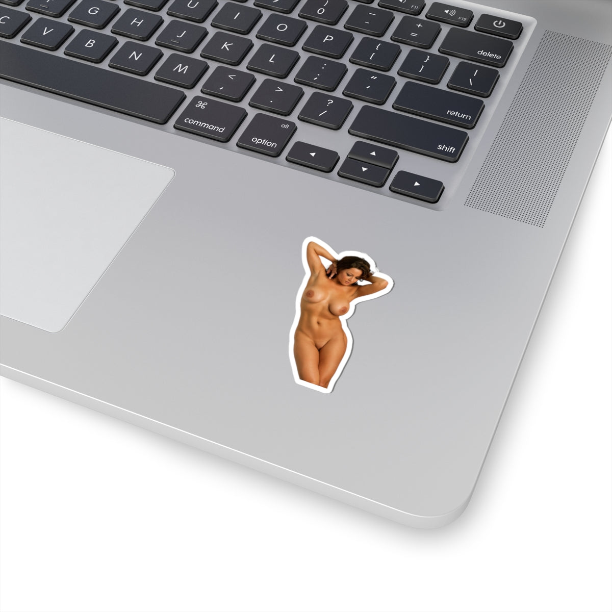 Sexy Model Sticker Pinup Stickers