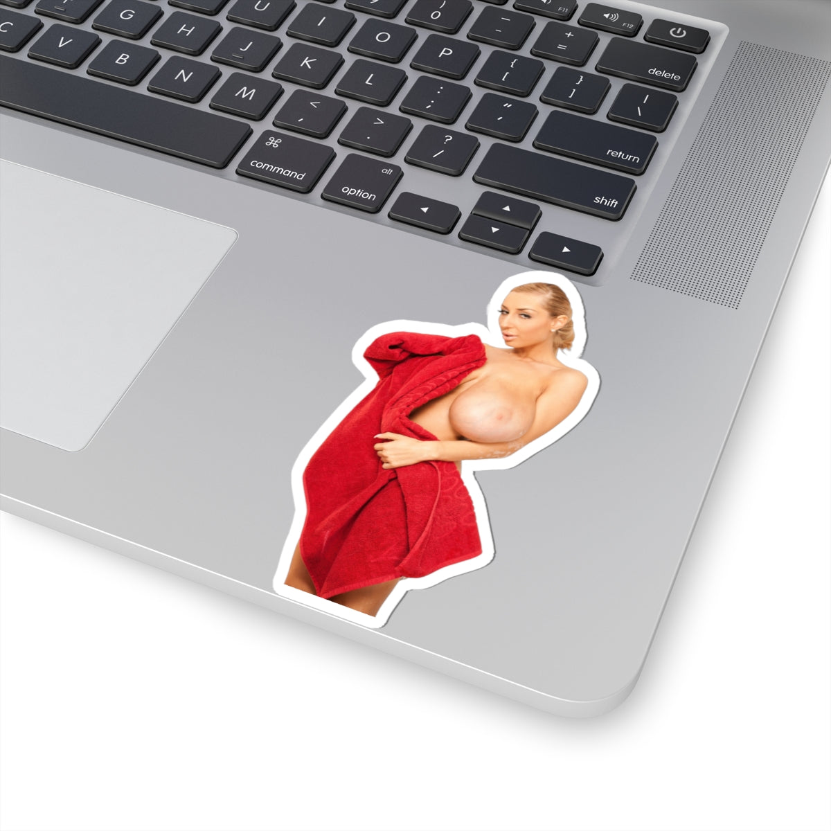 Naked Girl Bathroom Vinyl Sticker Curvy Woman Adult Decal