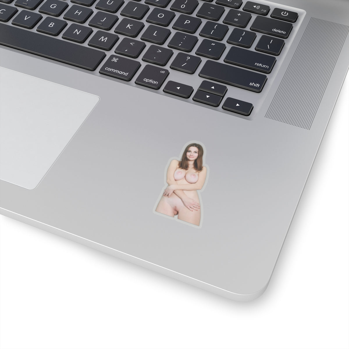 Hot Model Sticker Pinup Women Stickers