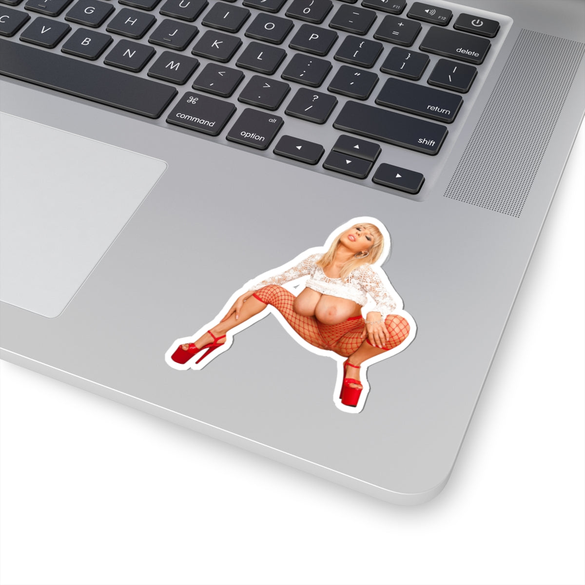 big boobs girl Stickers