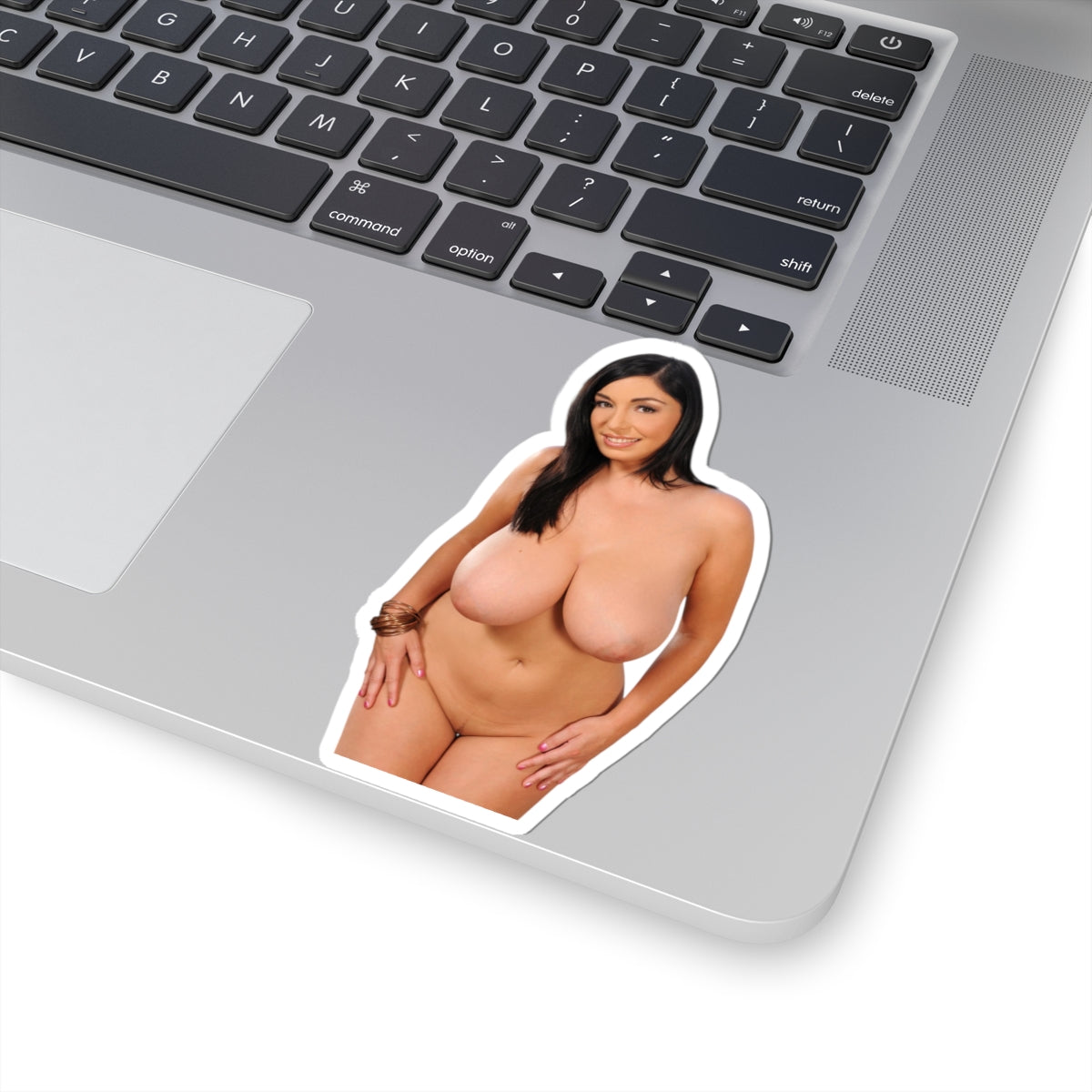 Boobs Woman Vinyl Decal Pinup Girl Adult Sticker Design