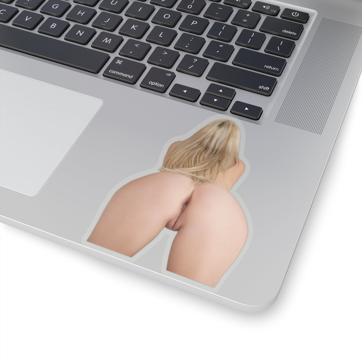 Naked Ass Girl Sticker Funny Stickers