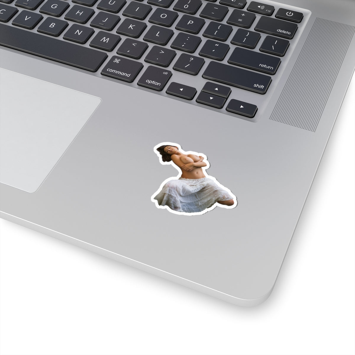Busty Girl Sticker Big Tits Women