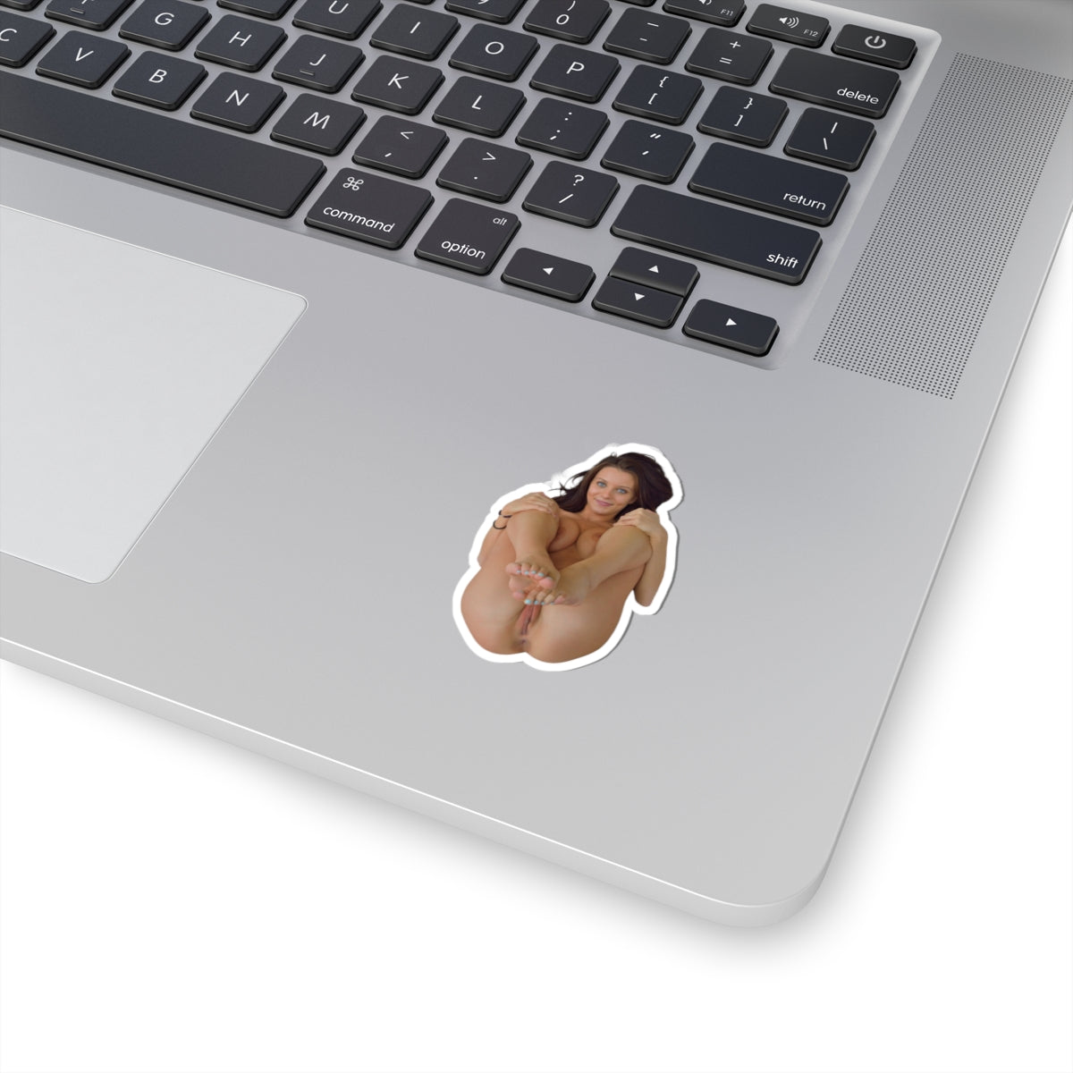 PRETTY GIRL STICKER HOT PINUP MODEL STICKERS