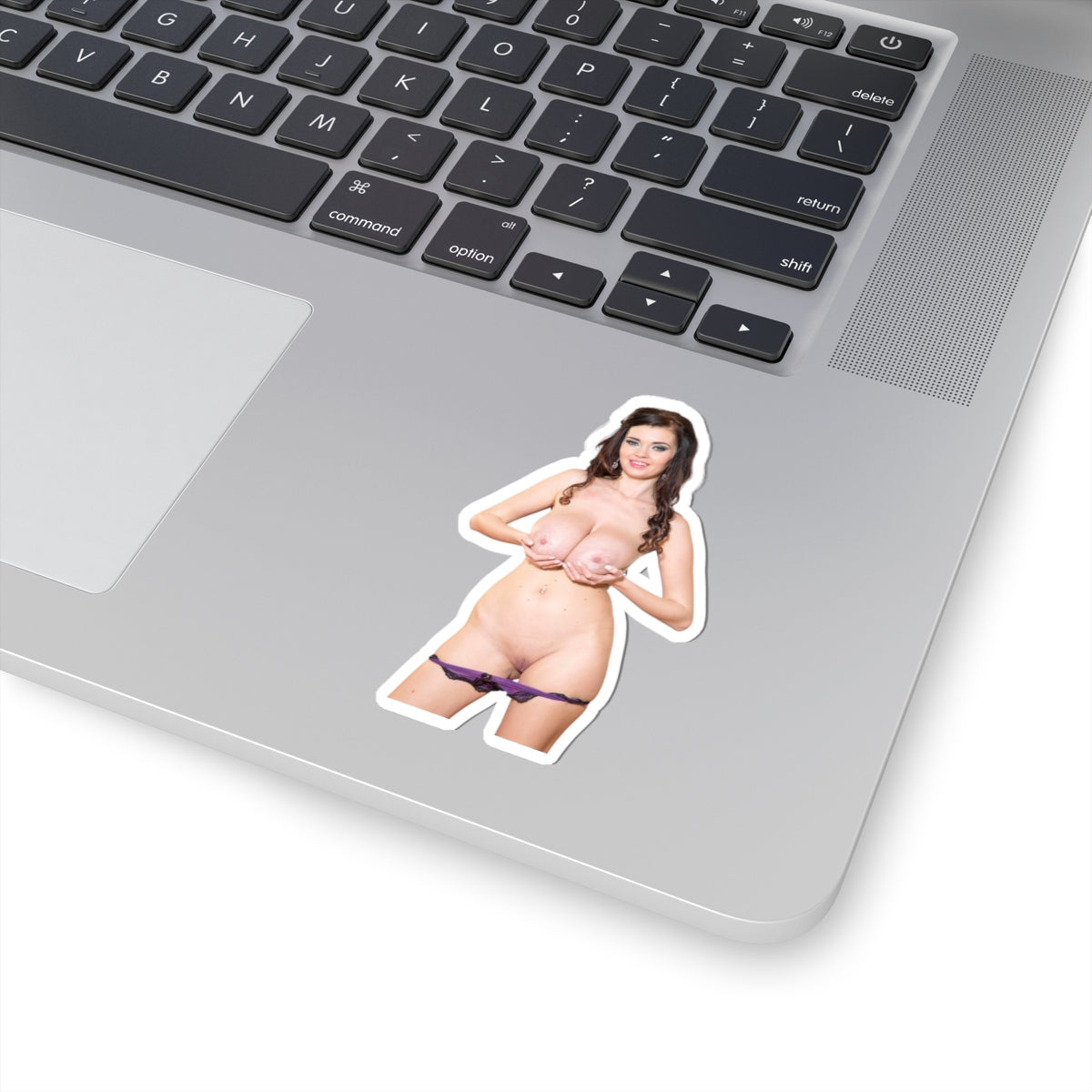 Big Boobs Girl Sticker Adult Stickers
