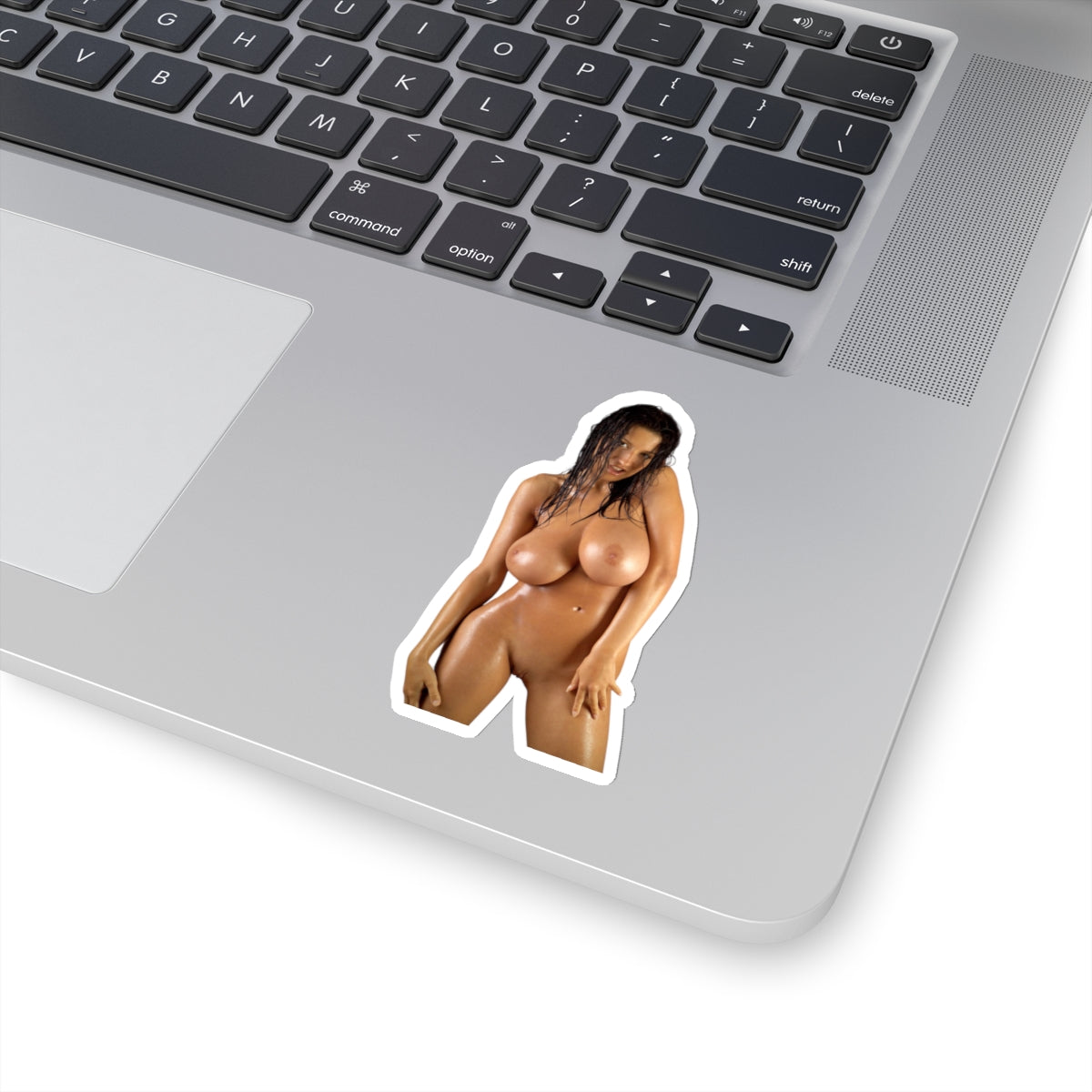 Retro Vintage Pinup Stickers Sexy Model Naked Women Nude Girl Beautiful Stickers For Male E597