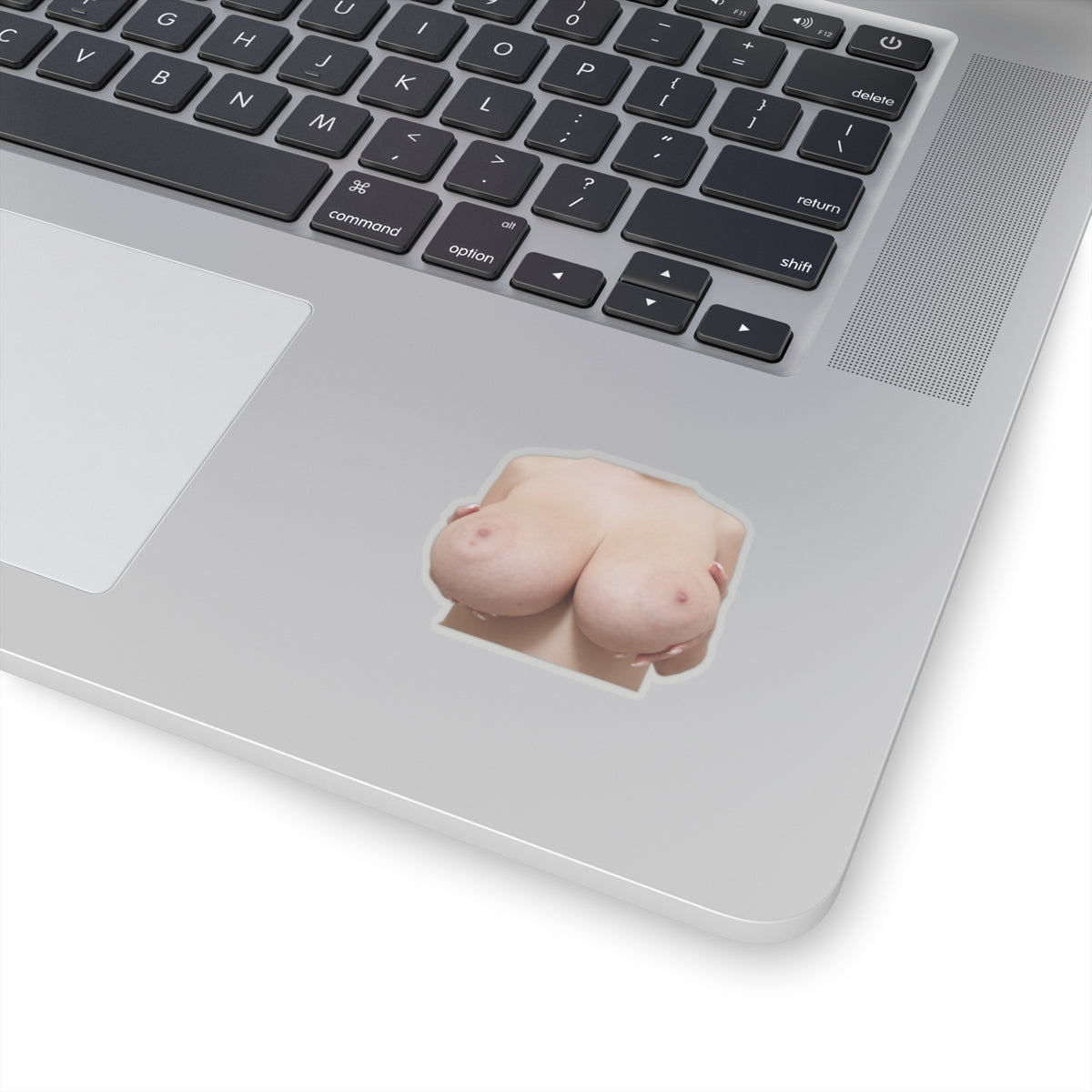 Boobs Sticker