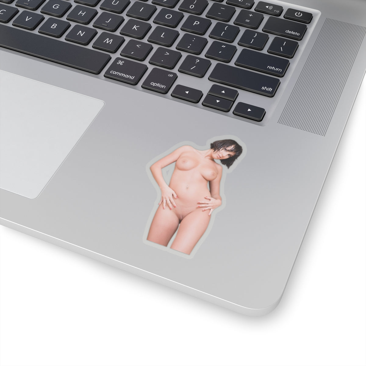 Sexy Girl Sticker Pinup Model Stickers