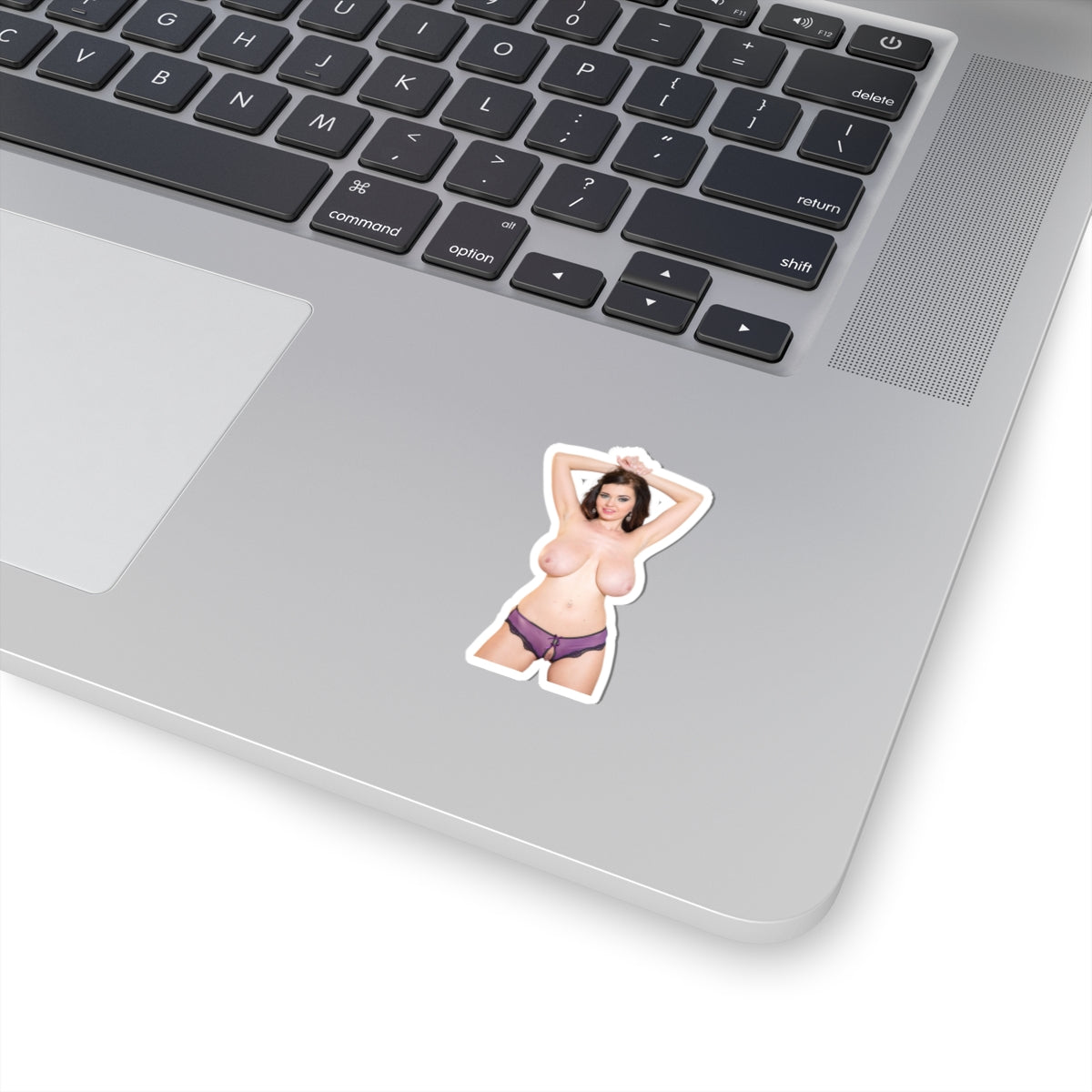 Big Breast Girl Sticker Adult Stickers