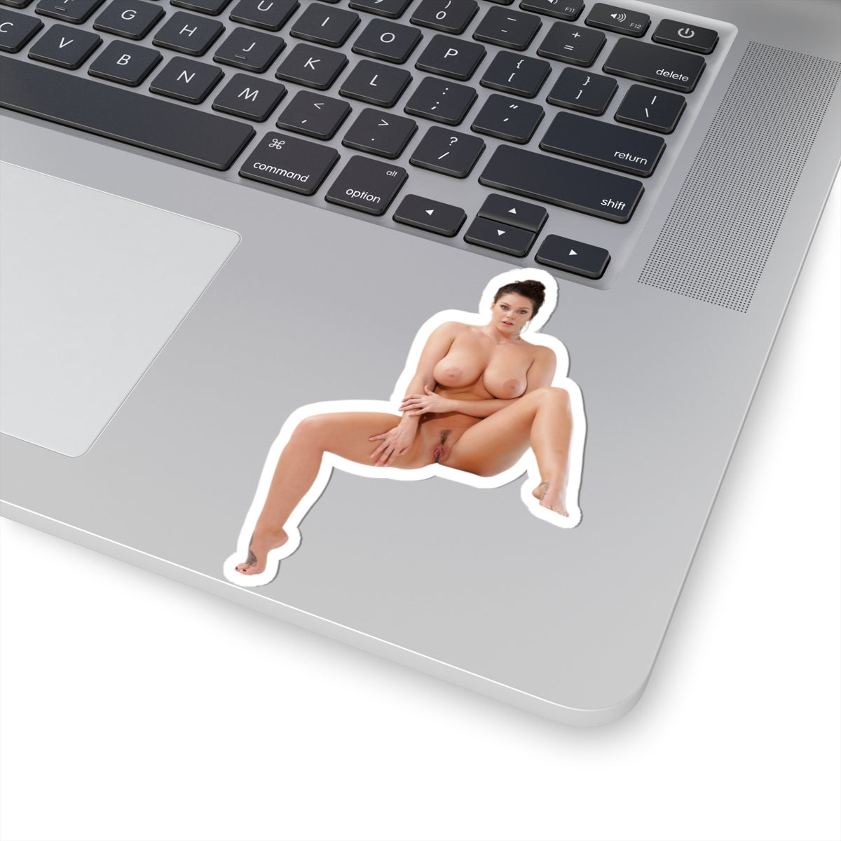 Erotic Sticker Big Tits Pinup Model Stickers