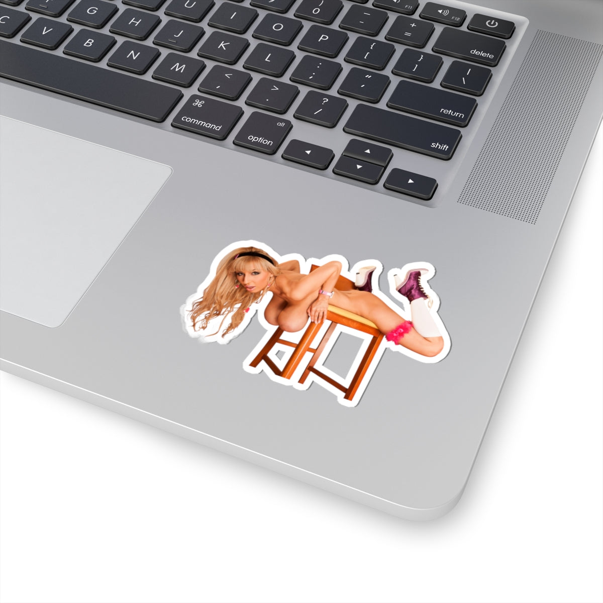 Big Tits Naked Women Sticker Pinup Stickers