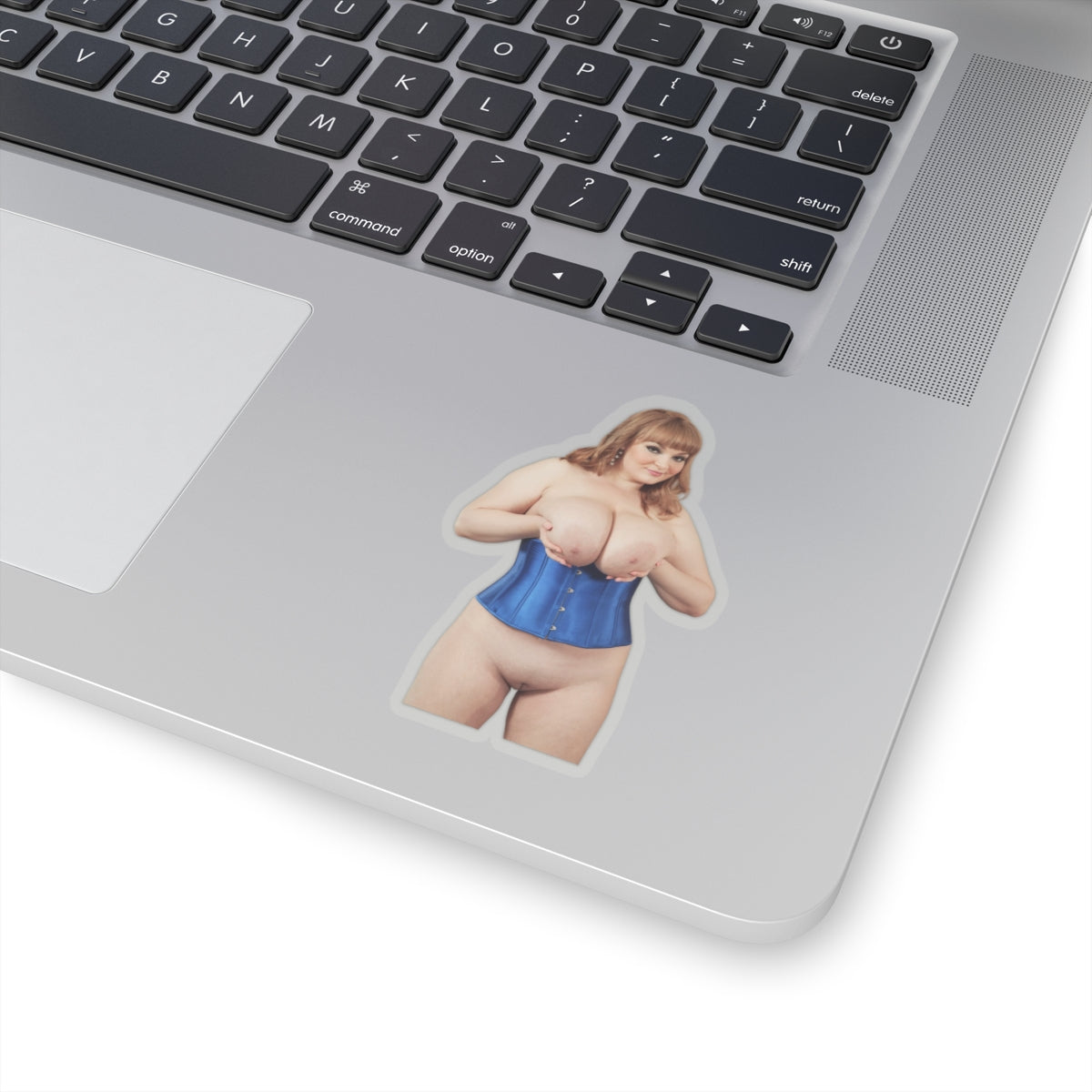 Big Boobs Thicc Curvy Naked Girl Adult Stickers