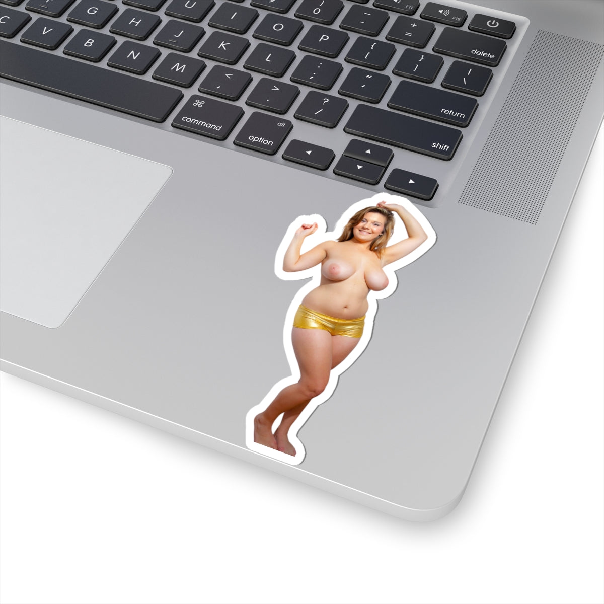 CUTE SEXY GIRL BIG TITS STICKERS