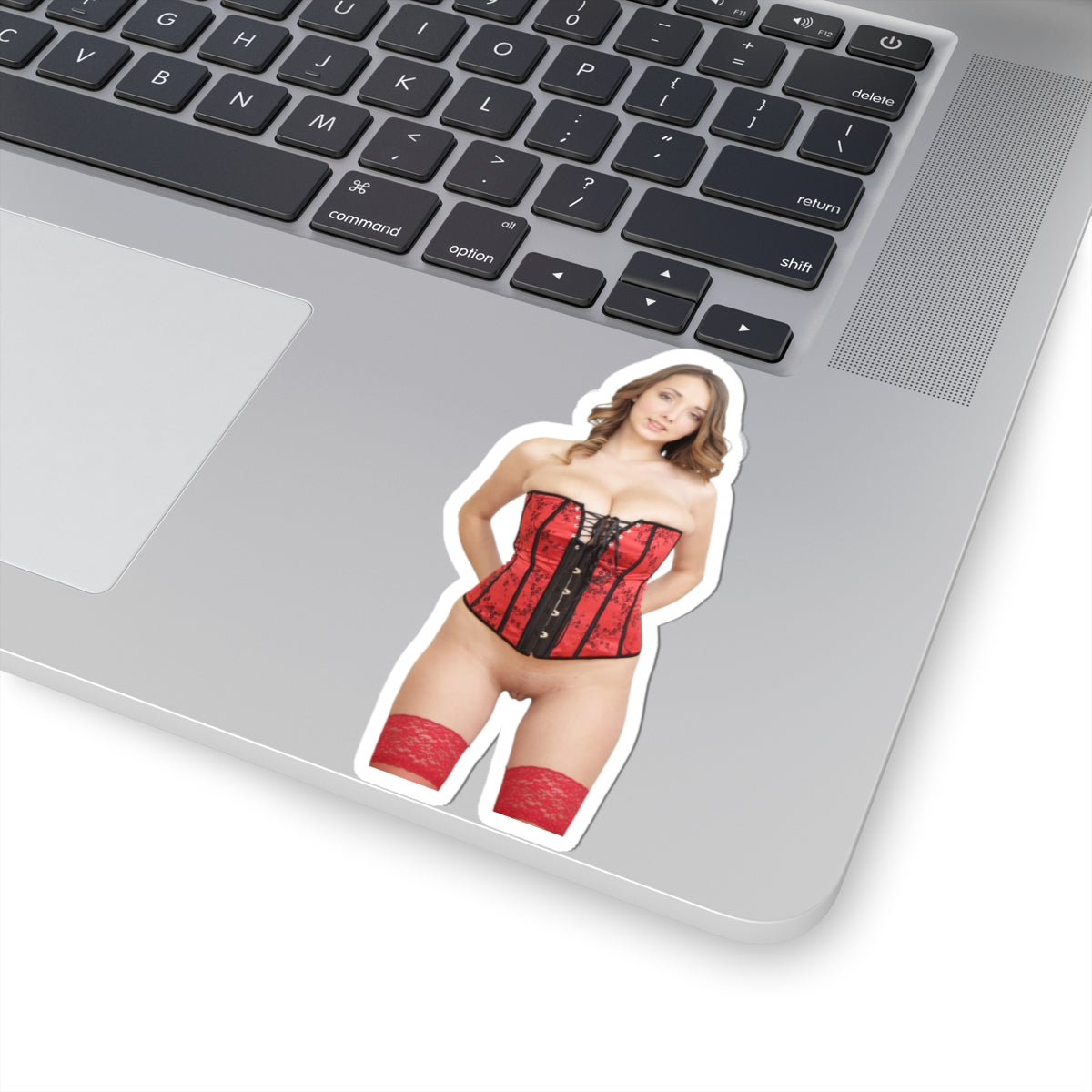 Naked Women Sticker Sexy Girl Adult Stickers