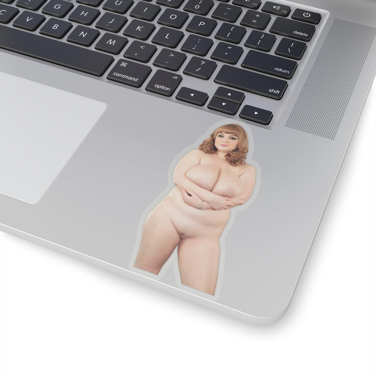 Big Boobs Thicc Curvy Girl Sticker