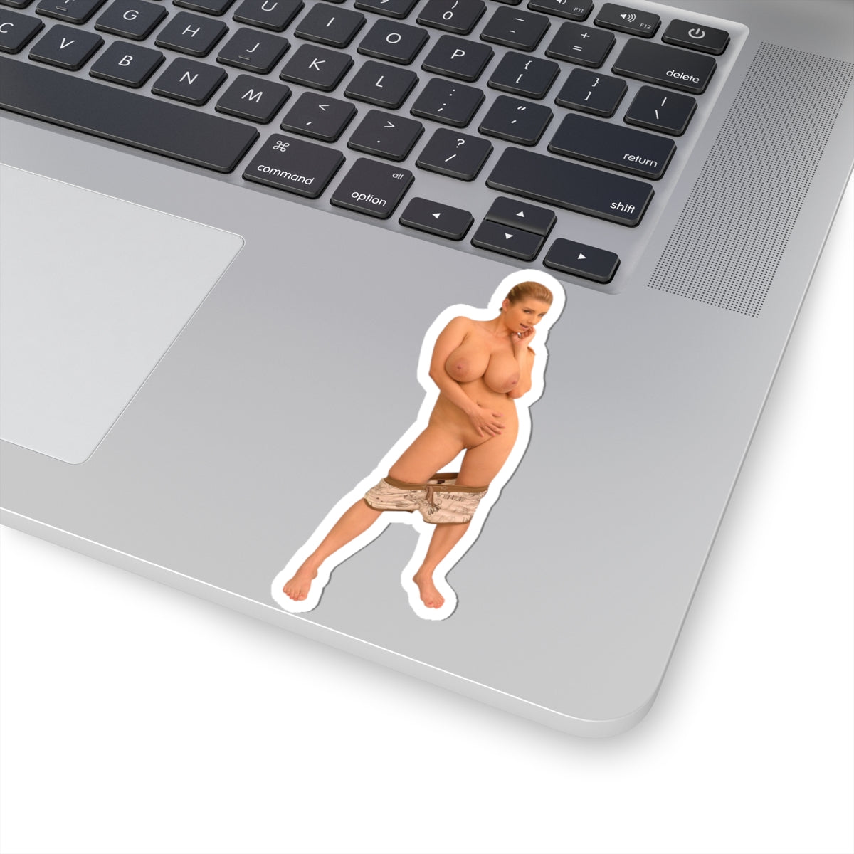 Sexy Big Tits Sticker Boobs Girl Stickers