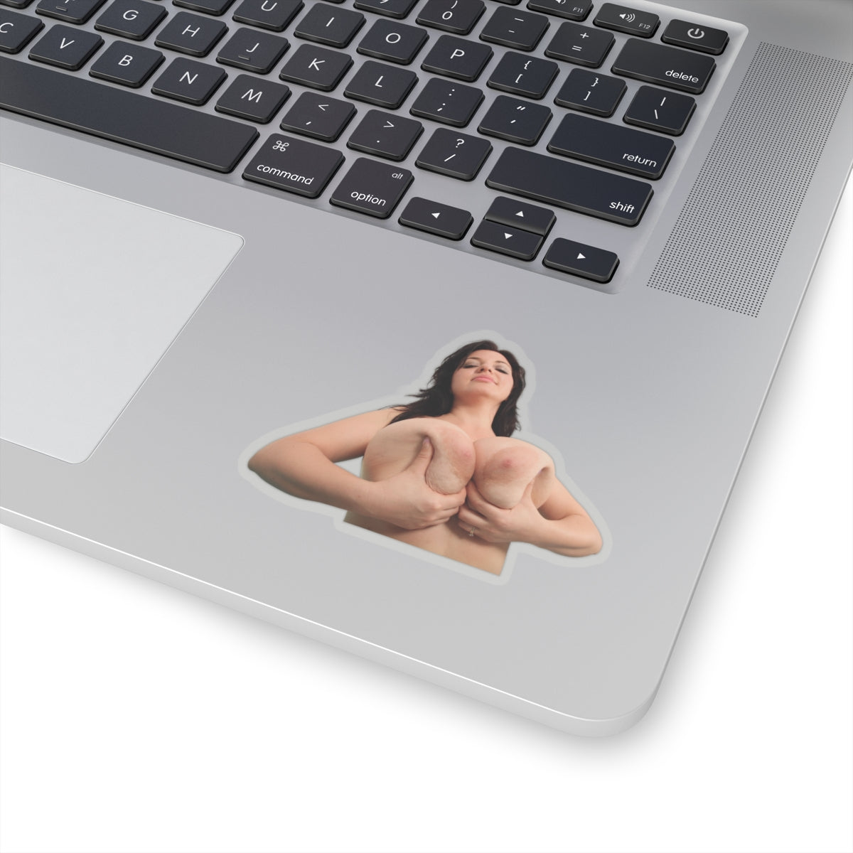 Tits Girl Sticker
